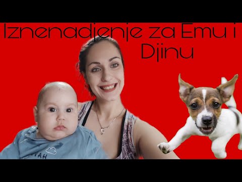 Iznenadjenje za Emu i Djinu *Novi član naše družine*