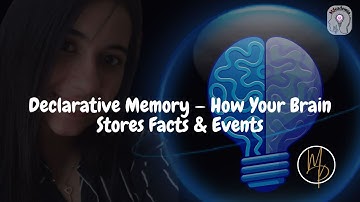 Declarative Memory Explained | Episodic vs Semantic Memory | Neuroscience Roadmap Ep.11