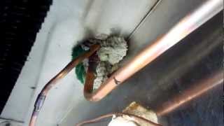 Left Wine Cellar. Replacing Evaporator & Finding a Refrigerant Leak. Part 2