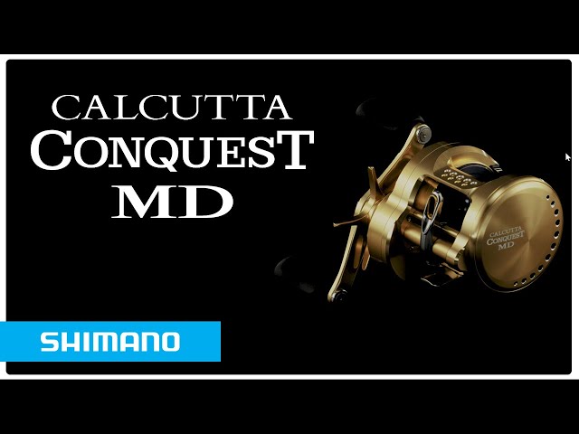 The Ultimate Baitcasting Reel for Heavy Lures and Heavy Fish