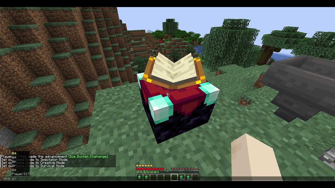 Minecraft Item Overstacking (1.8-1.18.2) with Item Shadowing