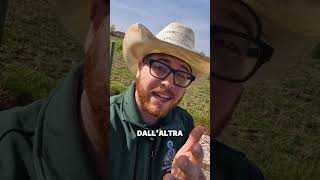 Ti spiego tutto nel nuovo video sul mio canale!🦃❤️