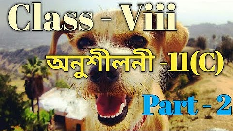 Class 8 Maths Ex-11(C) Part -2 / Sankardev Sishu Niketan / Babu