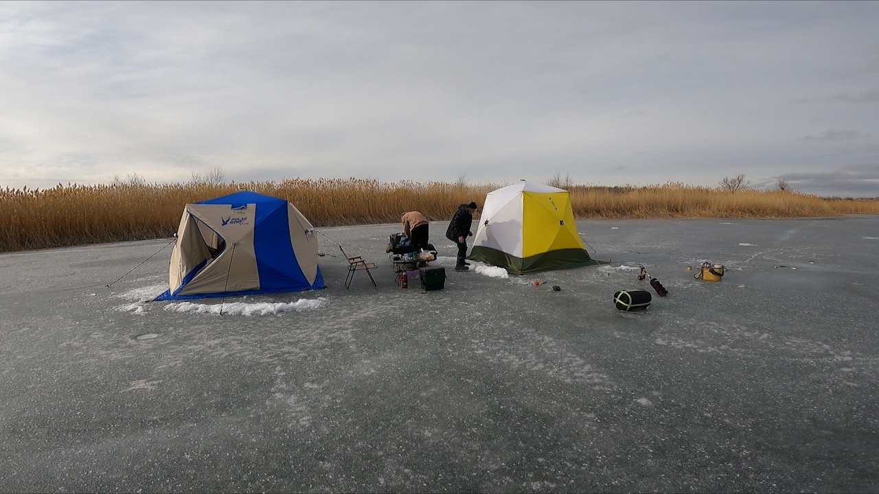 КРУПНАЯ ВОБЛА И КАРАСИ. КЛЕВАЛИ БЕЗ ОСТАНОВКИ! ЗИМНЯЯ РЫБАЛКА 2026