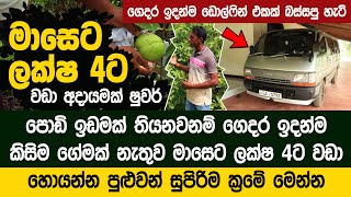 රස්සා නෑ කිය කිය මැරෙන්න ඕනි නෑ මෙන්න සල්ලි හොයන ධන උල්පතක් | Davulagala Agro Farm - Apple Pera