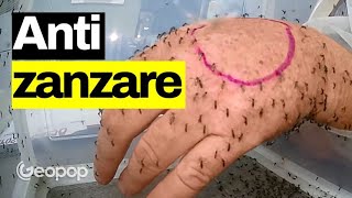 Quali antizanzare funzionano meglio? Zampironi, spray: analizziamoli dal punto di vista chimico