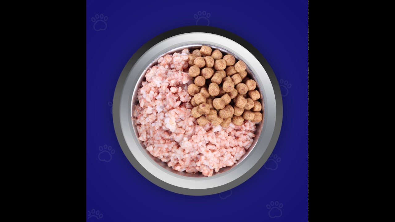 Nutri Chunks Premium Dog Food Transition Guide YouTube