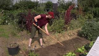 Coopérative Vert d'Iris