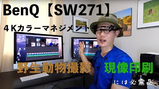 【BenQ SW271】 ４Kカラーマネジメントモニターを使うわけ　野生動物・現像印刷の面から