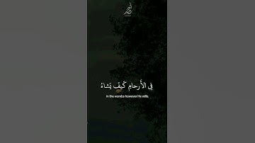 سورة آل عمران | القارئ : #عبدالرحمن_مسعد #quran #راحة_نفسية #viral #foryou #اجر_لي_ولكم🤍.