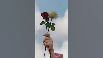 حالات واتساب جميلة جدا 