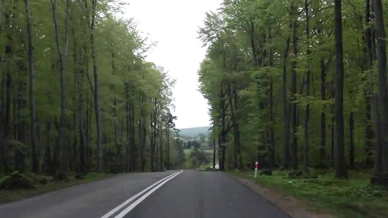 DW791: Trzebinia - Olkusz