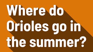Where do Orioles go in the summer?