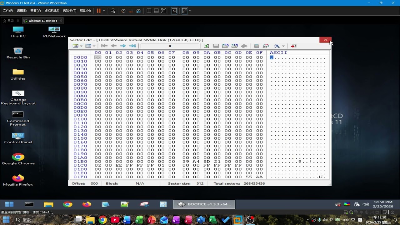 我们该如何移除Mandela.exe，注意：运行过程中屏幕闪烁频率高，请谨慎观看！#malware #computervirus