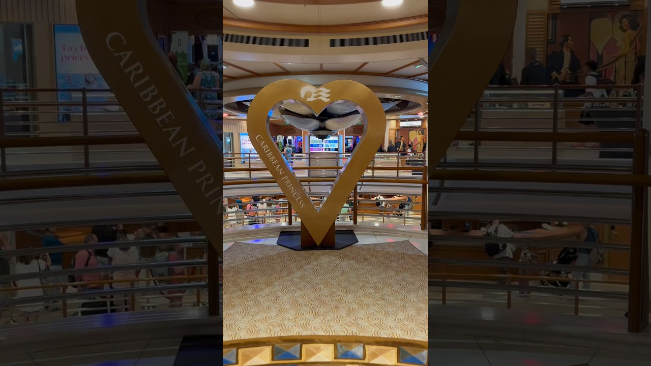 We really loved the medallion technology on our Princess Cruise!