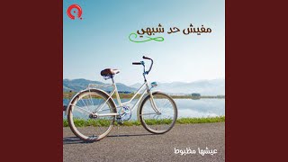 مفيش حد شبهي