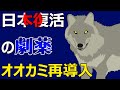 荒廃した自然がオオカミによって再生する、日本での可能性は！？
