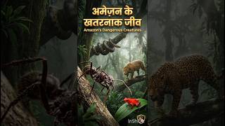 Amazon Rainforest Ke 4 Sabse Khatarnak Janwar 🐍