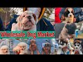 Wholesale Dog Market At Patiala Dog Show 31 January 2021 (Part-2)