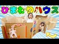 ひまわりハウス完成！！まーちゃんおーちゃん理想のダンボールハウスを作ろう！himawari-CH