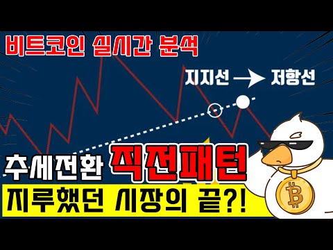 비트코인 실시간 방송) 이제 나 기대해도 되는거야!?