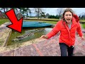 WHAT IS HIDING IN STEPHEN SHARER&#39;s POOL?!