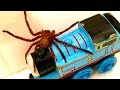 Big Spider On The Bath Toys Dyson GoPro Cam Catching Spiders