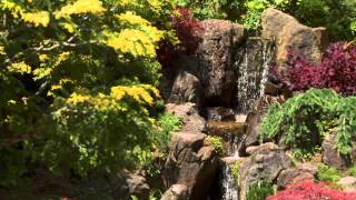 Fur Elise (by:Ludwig van Beethoven) with a beauty nature video