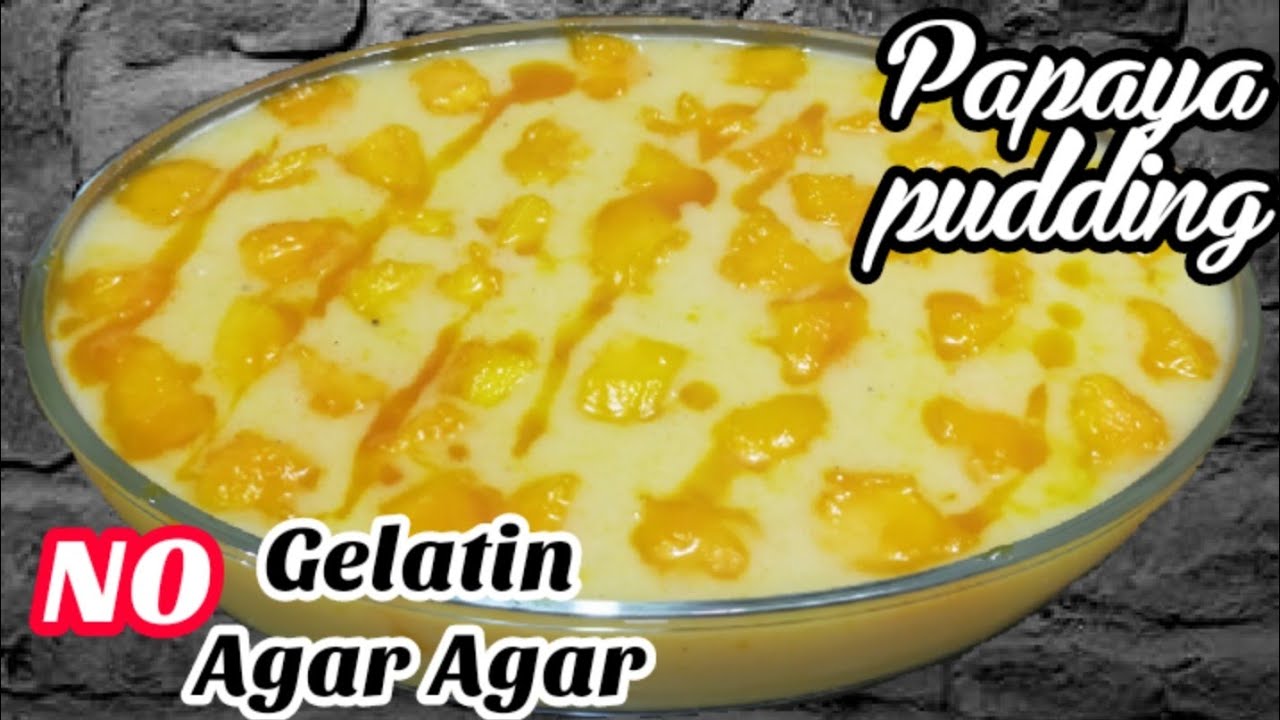 PAPAYA PUDDING YUMMY DESSERT EASY AND TASTY PAPAYA PUDDING NO