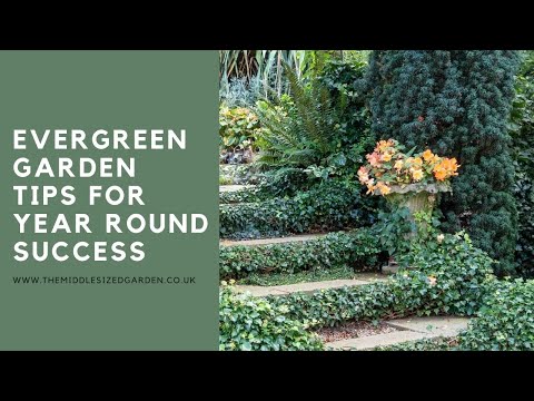 Video: Evergreen Garden Ideas: leer over landschapsarchitectuur met Evergreens