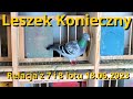 Leszek konieczny  relacja z 7 i 8 lotu  18 06 2023