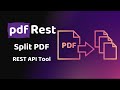 pdfRest Split PDF - REST API Tool