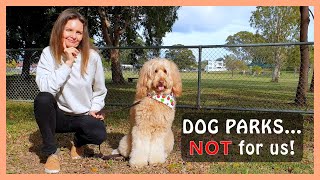 DOG PARKS: Good or Bad? WHY I (mostly) AVOID THEM… for my GOLDENDOODLE DOG