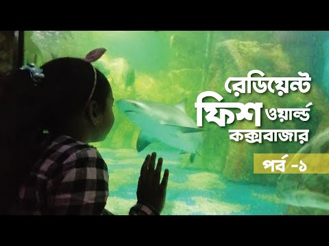 ভিডিও: ভবিষ্যতের থিয়েটার: বিখ্যাত স্থপতি জাহা হাদিদের নতুন ভবিষ্যত ভবন