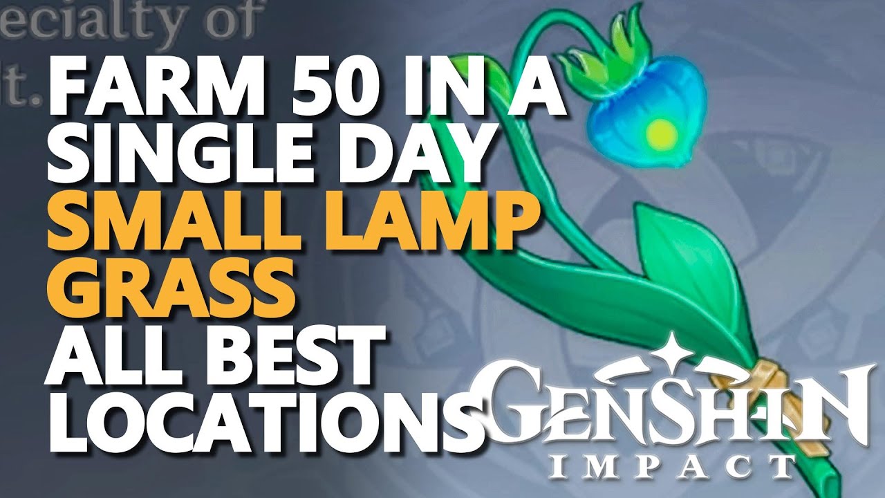Small Lamp Grass Genshin Impact All Best 20 Farm Locations YouTube
