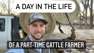 A day in the life of a part-time cattle farmer.