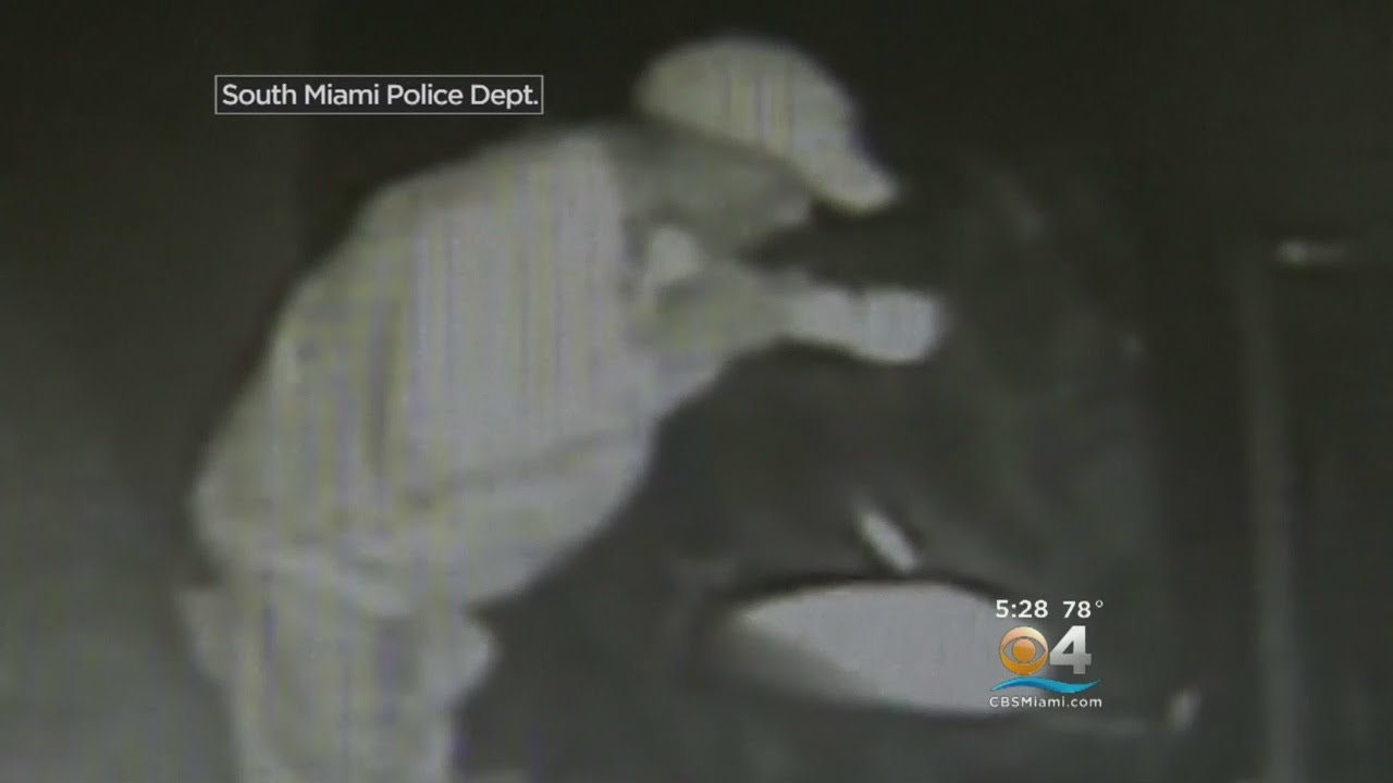 Exclusive: Car Hopping Burglar Caught On Camera - YouTube