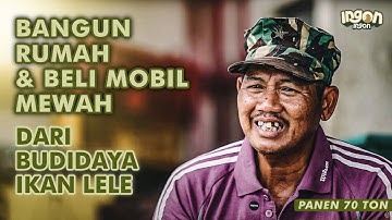 Budidaya Lele Dari 1 Kolam Hingga 140 Kolam, Bisa Bangun Rumah & Beli Mobil Mewah