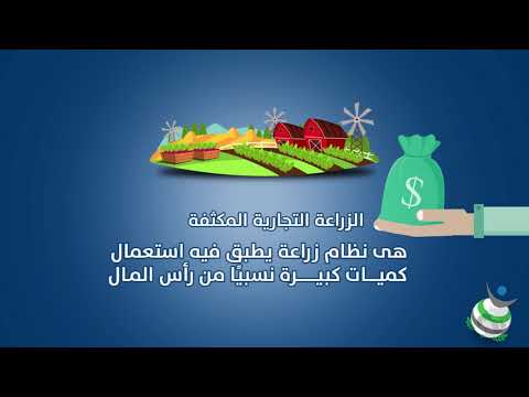 فيديو: هل الزراعة المتوسطية تجارية؟