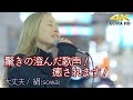 【 歌うま 】驚きの澄んだ歌声!癒されます! " 絹(sowa) " オリジナル曲「大丈夫」🎧推奨 高音質 路上ライブ 4K映像 Busking in Japan