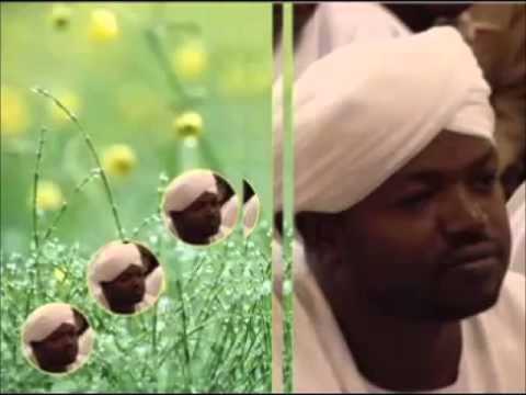 سورة الاحزاب ــ القارئ الشيخ نورين 