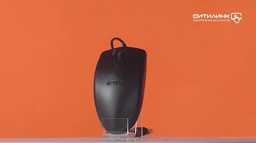 Обзор мыши A4 OP-620D | Ситилинк