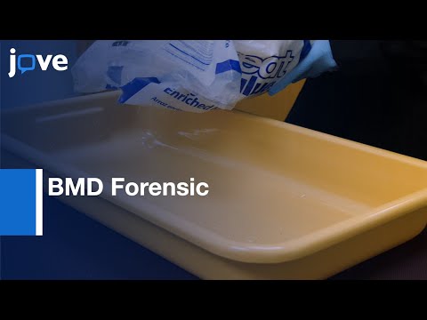 BMD Forensic for Skeletal Remains Scanning | Protocol Preview