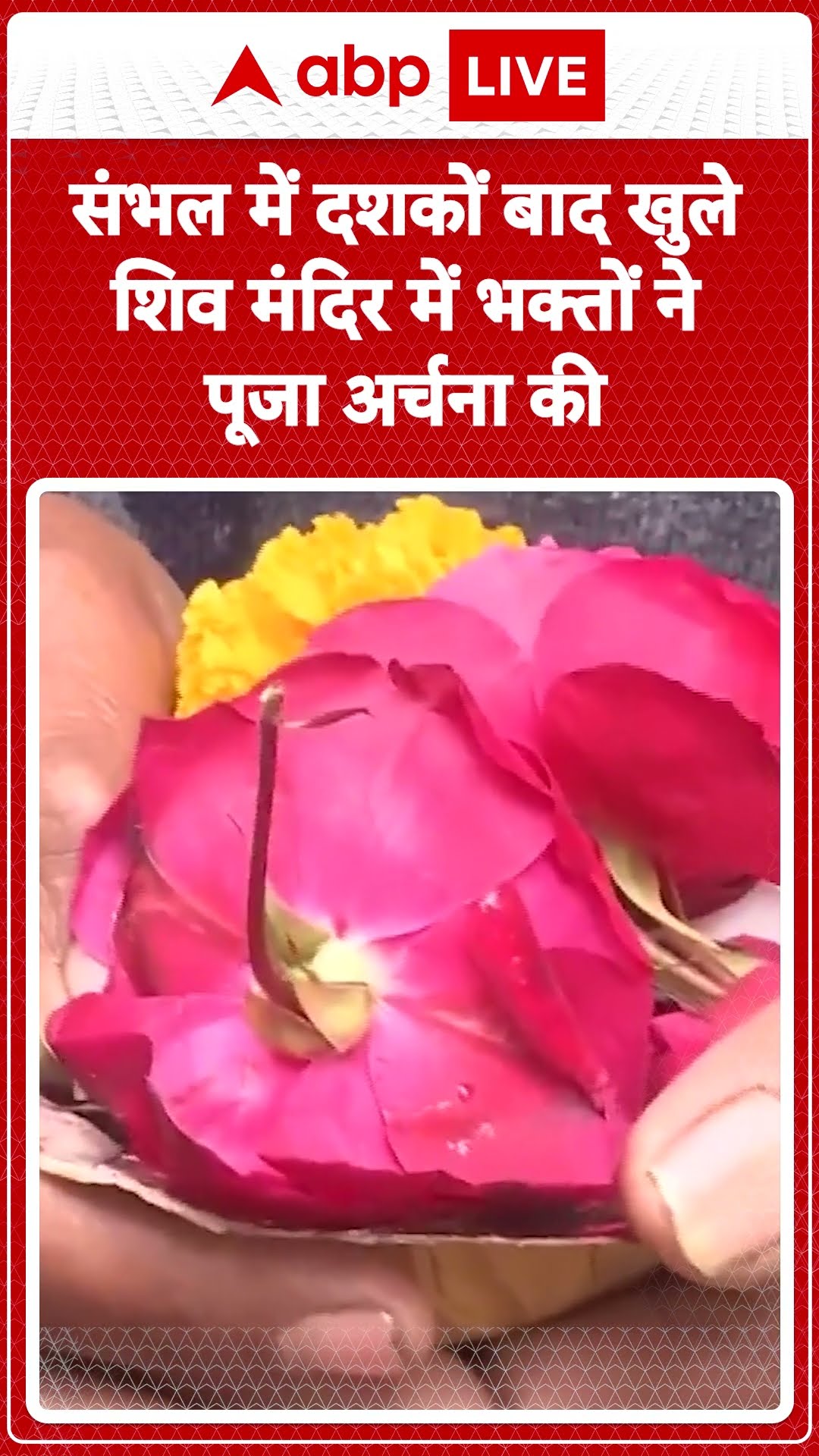 Sambhal News: संभल में दशकों बाद खुले शिव मंदिर में भक्तों ने पूजा अर्चना की | ABP LIVE | SHORTS