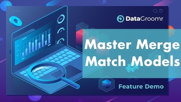 DataGroomr Deduplication Process: Master, Merge and Matching Models