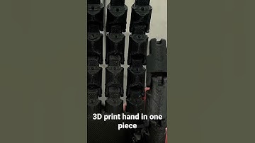 Prosthetic Hand Print