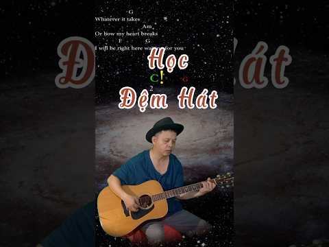 Hợp Âm Dễ Chơi Cho Người Mới Học Đệm Guitar Bài 'Right Here Waiting' #demhatguitar #hocguitar 2023 mới nhất Hợp Âm Dễ Chơi Cho Người Mới Học Đệm Guitar Bài 'Right Here Waiting' #demhatguitar #hocguitar 2023 mới nhất