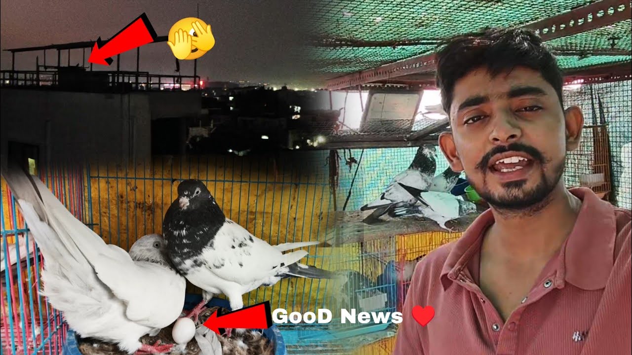 Ye Kaha 🕊️Jake Beth Rhi He 🧐