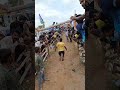 jeshika #bullsriders #cattle