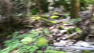 Per Te Vrima E Kucedres Nen Rrenjet E Malit Tomorr